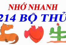 bộ thủ